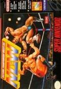 Natsume Championship Wrestling SNES cover