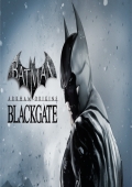 Batman: Arkham Origins Blackgate - Deluxe Edition cover